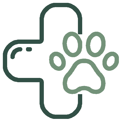 Pet Health Icon