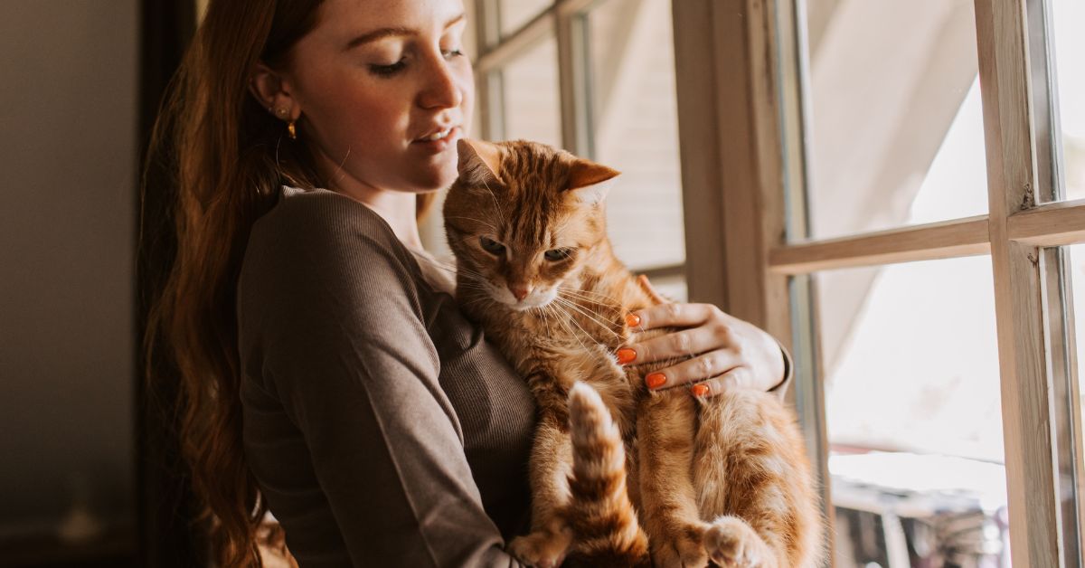 A person holding an orange tabby cat by a window