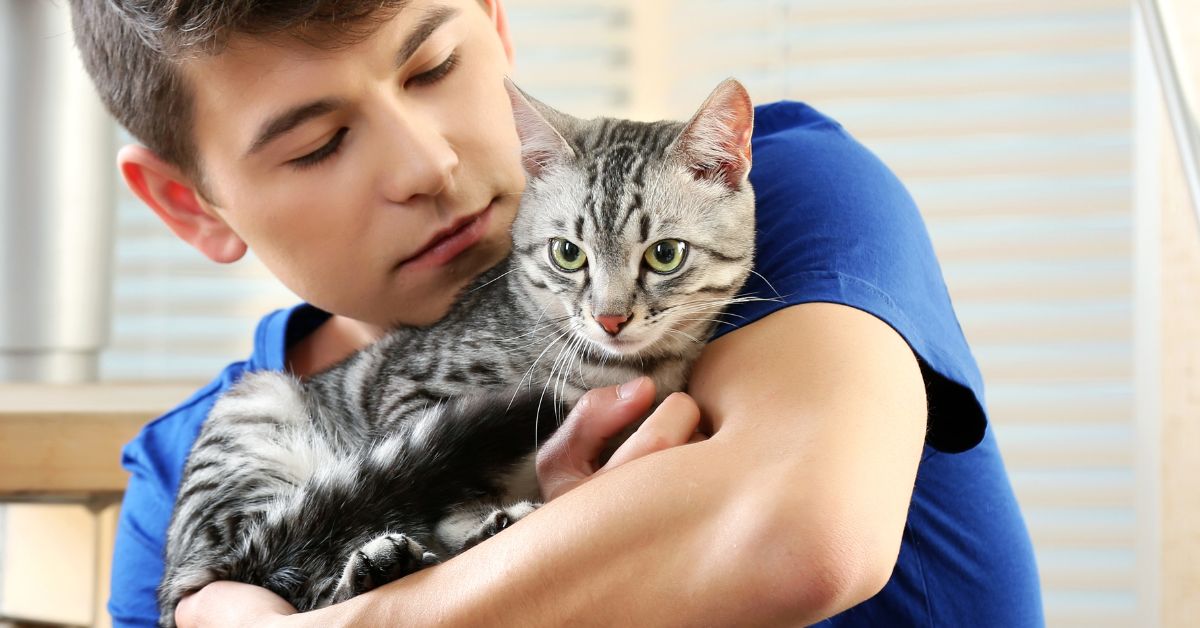 A person in a blue shirt holds a tabby cat with green eyes